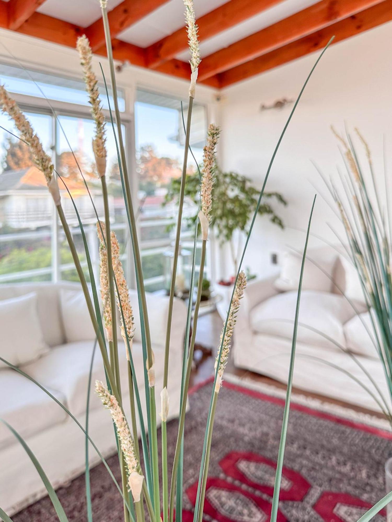 Kai Bed And Breakfast Algarrobo Buitenkant foto
